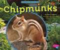 Chipmunks