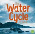 The Water Cycle at Work