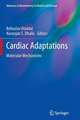 Cardiac Adaptations: Molecular Mechanisms