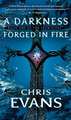 A Darkness Forged in Fire: Book One of the Iron Elves