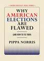 Why American Elections Are Flawed (And How to Fix Them)