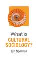 What is Cultural Sociology?