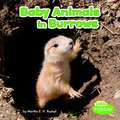 Baby Animals in Burrows