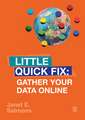 Gather Your Data Online: Little Quick Fix