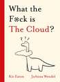 What the F*ck Is the Cloud?