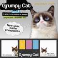 GRUMPY CAT ITS ALL DOWNHILL FROM HERE