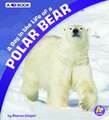 A Day in the Life of a Polar Bear