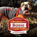 Adventures with Bodie the English Bulldog: In Wisconsin Volume 1