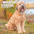 WHEATON TERRIERS 2022 WALL CALENDAR