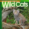 Welcome to the World of Wild Cats