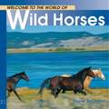 Welcome to the World of Wild Horses