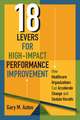 18 Levers for High-Impact Performance Improvement: How Healthcare Organizations Can Accelerate Change and Sustain Results