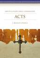 Acts: Smyth and Helwys Bible Commentary Series