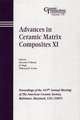 Advances in Ceramic Matrix Composites XI – Ceramic Transactions V175