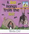 Bat Hangs from the Bat