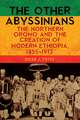 The Other Abyssinians – The Northern Oromo and the Creation of Modern Ethiopia, 1855–1913