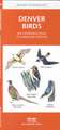 Denver Birds: A Folding Pocket Guide to Familiar Species