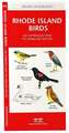 Rhode Island Birds: A Folding Pocket Guide to Familiar Species