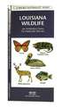 Louisiana Wildlife: A Folding Pocket Guide to Familiar Species