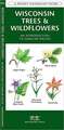 Wisconsin Trees & Wildflowers: A Folding Pocket Guide to Familiar Species