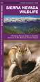 Sierra Nevada Wildlife: A Folding Pocket Guide to Familiar Species of the Montane Forest Region