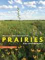 The Ecology and Management of Prairies in the Central United States