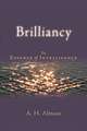 Brilliancy: The Essence of Intelligence