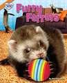 Furry Ferrets