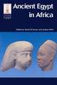 Ancient Egypt in Africa