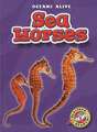 Sea Horses