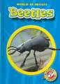 Beetles