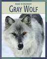 Gray Wolf