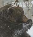 Brown Bears