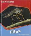 Flies