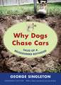 Why Dogs Chase Cars: Tales of a Beleaguered Boyhood