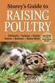 Storey's Guide to Raising Poultry: Chickens, Turkeys, Ducks, Geese, Guineas, Game Birds