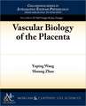 Vascular Biology of the Placenta