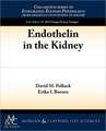 Endothelin in the Kidney