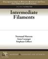 Intermediate Filaments