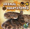 Animal Adaptations