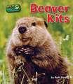 Beaver Kits