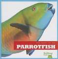 Parrotfish