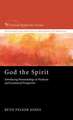 God the Spirit: Introducing Pneumatology in Wesleyan and Ecumenical Perspective