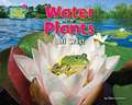 Water Plants