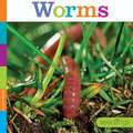 Worms