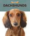 Dachshunds