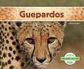 Guepardos