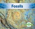 Fossils