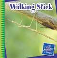 Walking Stick