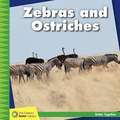 Zebras and Ostriches